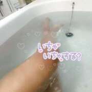 ヒメ日記 2025/02/05 12:03 投稿 なさ ピーチハニー