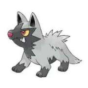 ヒメ日記 2025/04/26 19:03 投稿 いちご ナンバーゼロハチイチ