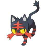 ヒメ日記 2025/05/03 19:51 投稿 いちご ナンバーゼロハチイチ