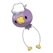 ヒメ日記 2025/06/28 20:17 投稿 いちご ナンバーゼロハチイチ