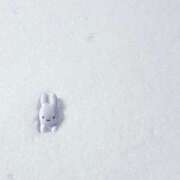 ヒメ日記 2026/02/09 09:01 投稿 ひなの 体感サロン マチルダとベロニカ