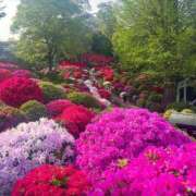 ヒメ日記 2026/04/13 00:56 投稿 ひなの 体感サロン マチルダとベロニカ