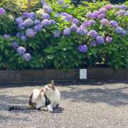 ヒメ日記 2026/06/15 08:45 投稿 ひなの 体感サロン マチルダとベロニカ