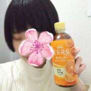 ヒメ日記 2025/02/09 15:50 投稿 みづほ どMばすたーず すすきの店