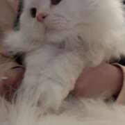 ヒメ日記 2025/02/08 10:00 投稿 つむぎ 聖女(マリア)