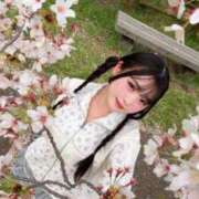 ヒメ日記 2025/04/12 10:41 投稿 つむぎ 聖女(マリア)