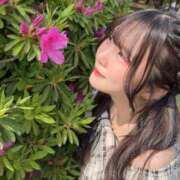 ヒメ日記 2025/04/26 10:41 投稿 つむぎ 聖女(マリア)