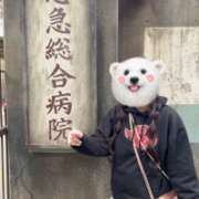 ヒメ日記 2025/04/30 19:01 投稿 つむぎ 聖女(マリア)