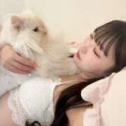 ヒメ日記 2025/07/19 11:00 投稿 つむぎ 聖女(マリア)