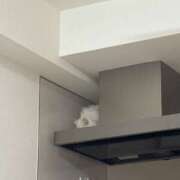 ヒメ日記 2025/08/12 03:16 投稿 つむぎ 聖女(マリア)