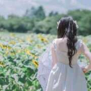 ヒメ日記 2025/08/24 10:51 投稿 つむぎ 聖女(マリア)