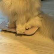 ヒメ日記 2025/08/28 13:36 投稿 つむぎ 聖女(マリア)