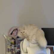 ヒメ日記 2025/10/11 10:57 投稿 つむぎ 聖女(マリア)