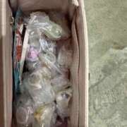 ヒメ日記 2025/10/24 14:37 投稿 つむぎ 聖女(マリア)