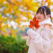 ヒメ日記 2025/11/18 10:51 投稿 つむぎ 聖女(マリア)