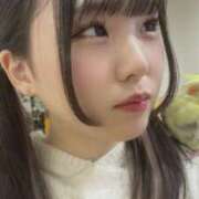 つむぎ ‎🤍‪🦜‬インコとふれあい‪🦜‬‎🤍 聖女(マリア)