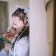 ヒメ日記 2026/01/31 11:02 投稿 つむぎ 聖女(マリア)