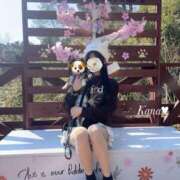 ヒメ日記 2025/05/03 13:02 投稿 かな 聖女(マリア)