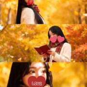 ヒメ日記 2025/11/10 08:51 投稿 さくら 聖女(マリア)