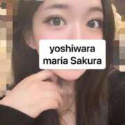 ヒメ日記 2026/04/16 06:48 投稿 さくら 聖女(マリア)