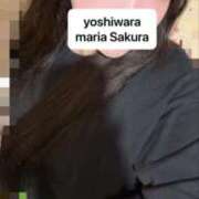 ヒメ日記 2026/04/16 22:38 投稿 さくら 聖女(マリア)