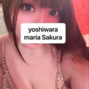 ヒメ日記 2026/05/17 10:58 投稿 さくら 聖女(マリア)