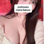 ヒメ日記 2026/05/19 23:48 投稿 さくら 聖女(マリア)