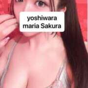 ヒメ日記 2026/06/05 18:18 投稿 さくら 聖女(マリア)