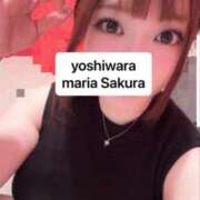 ヒメ日記 2026/06/22 17:48 投稿 さくら 聖女(マリア)