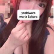 ヒメ日記 2026/06/26 15:58 投稿 さくら 聖女(マリア)