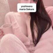 ヒメ日記 2026/06/29 23:18 投稿 さくら 聖女(マリア)