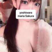 ヒメ日記 2026/07/08 10:39 投稿 さくら 聖女(マリア)