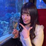 ヒメ日記 2025/05/08 22:51 投稿 ひな 聖女(マリア)