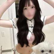 ヒメ日記 2025/05/12 22:01 投稿 ひな 聖女(マリア)