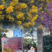 ヒメ日記 2026/03/08 08:58 投稿 ひな 聖女(マリア)