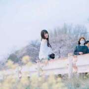 ヒメ日記 2026/04/24 15:38 投稿 ひな 聖女(マリア)