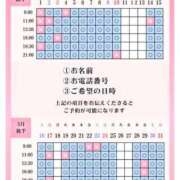 ヒメ日記 2026/04/27 15:18 投稿 ひな 聖女(マリア)