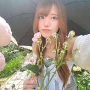 ヒメ日記 2026/05/26 16:48 投稿 ひな 聖女(マリア)
