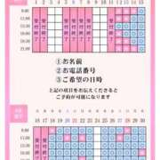 ヒメ日記 2026/06/12 08:28 投稿 ひな 聖女(マリア)