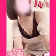 ヒメ日記 2025/02/14 08:02 投稿 える 若妻淫乱倶楽部　越谷店