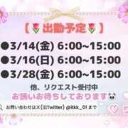 ヒメ日記 2025/03/14 08:20 投稿 りこ チューリップ土浦店