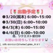 ヒメ日記 2025/03/20 12:20 投稿 りこ チューリップ土浦店