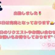 ヒメ日記 2025/04/29 06:20 投稿 りこ チューリップ土浦店