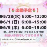 ヒメ日記 2025/05/24 19:14 投稿 りこ チューリップ土浦店