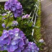 ヒメ日記 2025/07/01 10:28 投稿 りこ チューリップ土浦店