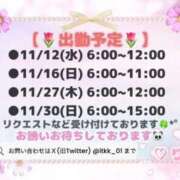 ヒメ日記 2025/11/10 09:08 投稿 りこ チューリップ土浦店