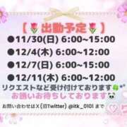 ヒメ日記 2025/11/27 10:48 投稿 りこ チューリップ土浦店