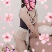 ヒメ日記 2025/03/14 08:53 投稿 きえ MOISTLIP