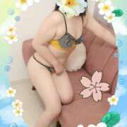 ヒメ日記 2025/04/09 07:03 投稿 きえ MOISTLIP