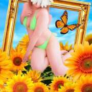 ヒメ日記 2025/05/15 10:03 投稿 きえ MOISTLIP